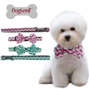 Laisse et collier de chien en nylon de coton de mode d&#39;accessoires pour animaux de compagnie en gros